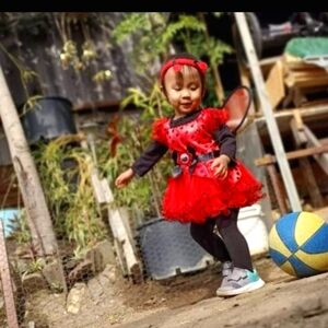 Lady Bug dress 6-12 months